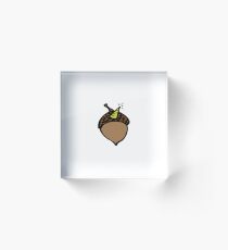 Acorn-a-corn Acrylic Block