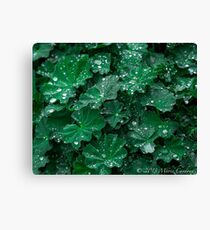 Green Earth Canvas Print