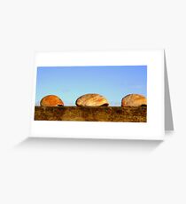 Seashells Greeting Card