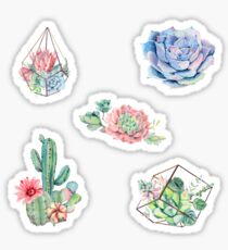Aquarell-Kaktus-Packung Sticker