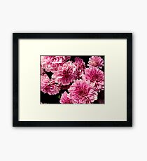 Pinkie Swear ^ Framed Print