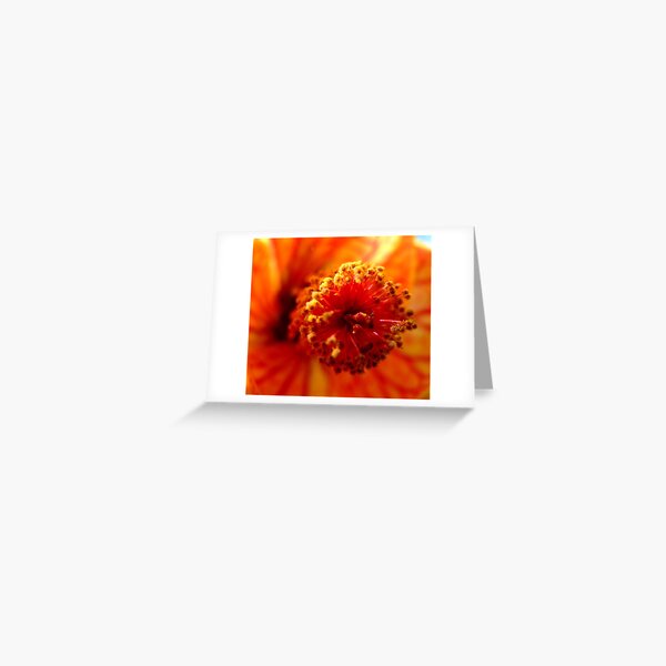 up close and personal Greeting Card