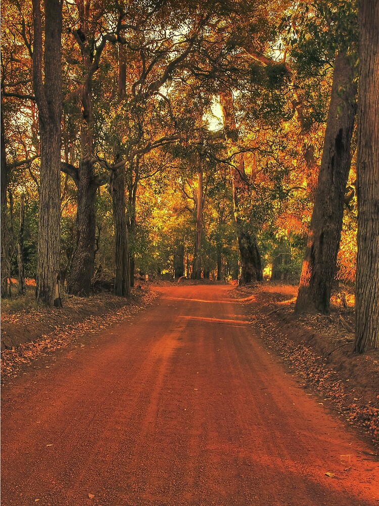 "Autumn in Bridgetown, Western Australia" by Elaine Teague Redbubble