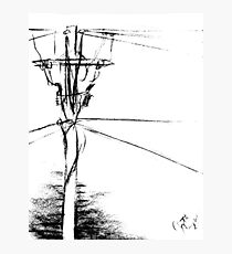 View Photographic Print