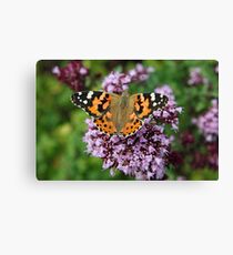 Painted Lady butterfly Leinwanddruck