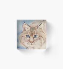 Bobcat Acrylic Block