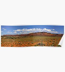 Desert landscape in the Arizona Poster