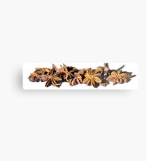 Star Anise Metal Print