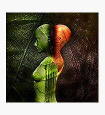 METAMORPHOSIS Photographic Print