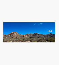 Saguaro National Park Photographic Print