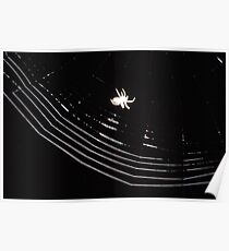 Night Worker Spins Poster