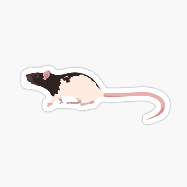 Hooded Rat 2 Sticker