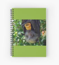 Cuaderno de espiral Batzilla - adorable zorro volador