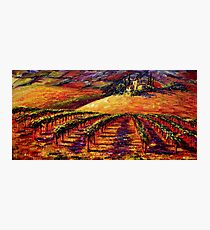 Tuscan Wine Country Photographic Print