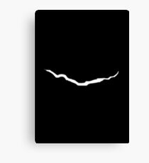 Crack in Time Canvas Print