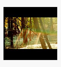 Camp Photographic Print