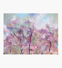 Painted Skies Photographic Print
