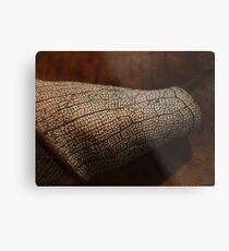 Serenity 2 Metal Print