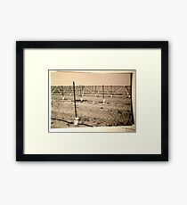 orange county Framed Print