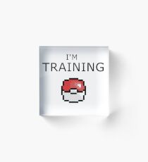 Pokemon Training Acrylic Block