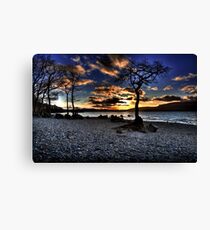 Milarrochy Bay Canvas Print
