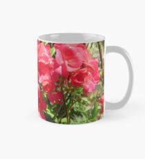 Gartengeranie Tasse (Standard)