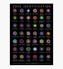 Zoanthids-Kennzeichnungsplakat Fotodruck