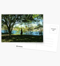 Evening, Nerang river Gold Coast City Art Gallery Park walk. Postcards