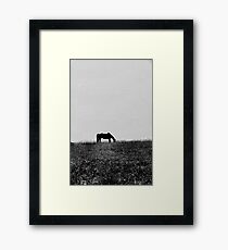 Lonely Framed Print