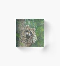 Masked Bandit Acrylic Block