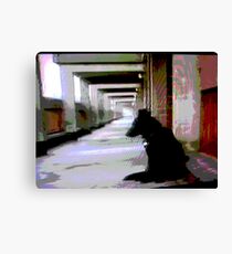 Ashfield Valley Dog Canvas Print