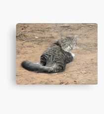 You Called? Metal Print