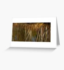 Zen and Reflection Greeting Card