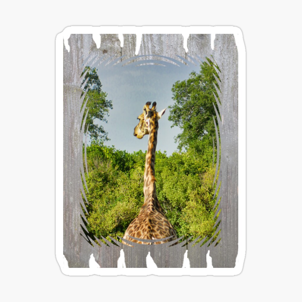 A giraffe shall lead us... Sticker