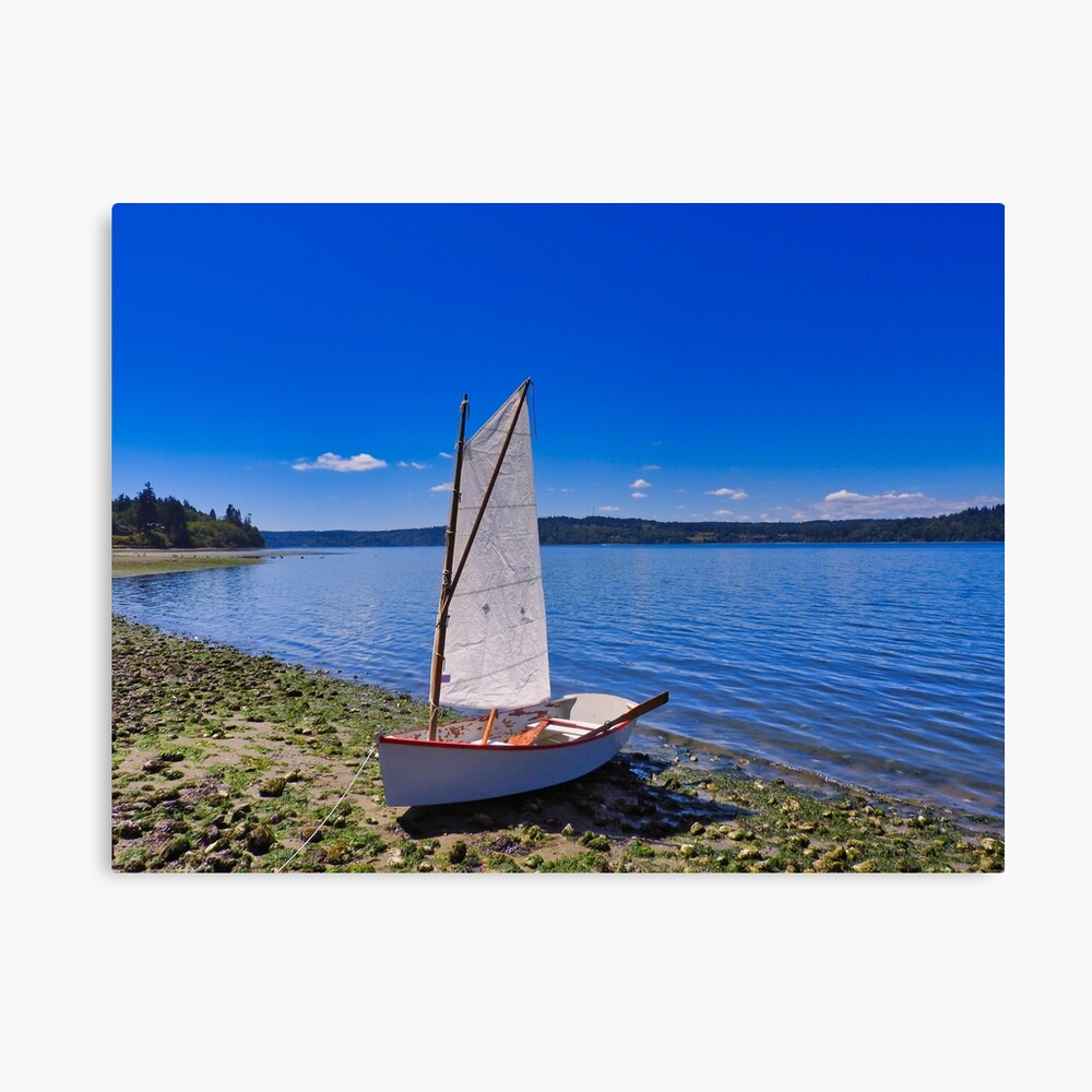 My ship has come in Canvas Print