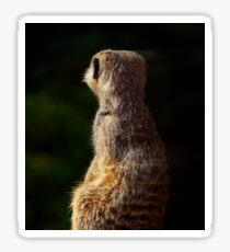 Meerkat Onguard Sticker