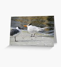 Ozzie & Harriet Greeting Card