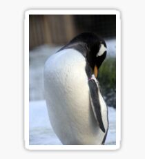 Penguin Sticker
