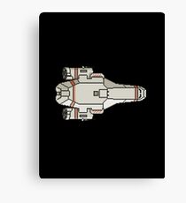 Kestrel Cruiser Canvas Print