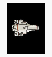 Kestrel Cruiser Photographic Print