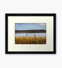 The Still Of Winter Framed Print