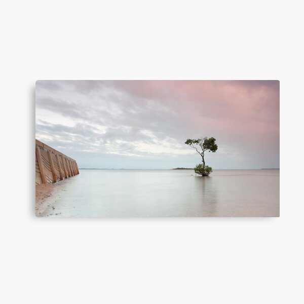 The "tree" Canvas Print