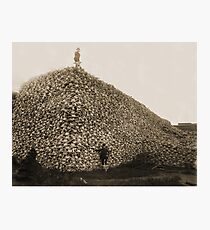 Lámina fotográfica American Bison Skulls Pile to be used for fertilizer (c 1870)