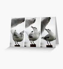 Seagull vs Seagull Greeting Card