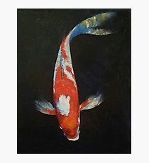 Koi Photographic Print