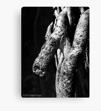 Mr. Banyan Canvas Print