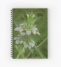 Young Bee Balm Spiral Notebook