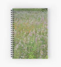 Bee Balm and Firewheel Spiral Notebook