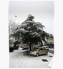 Presents under the tree. Poster