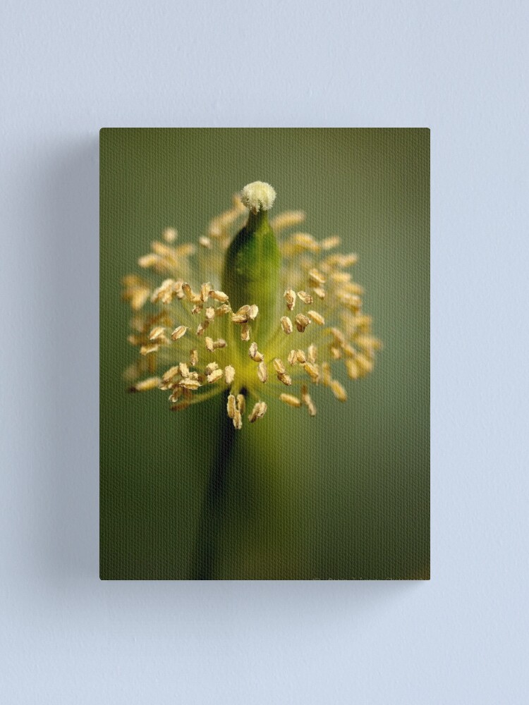 Alternate view of Simplicity Canvas Print